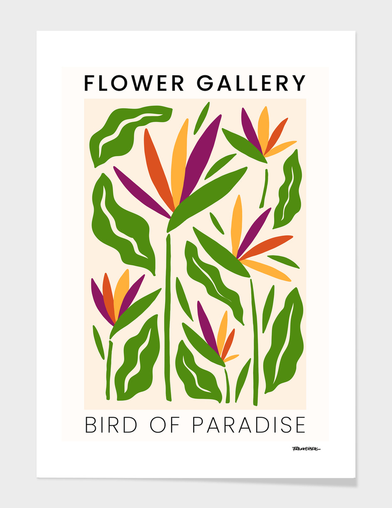 Bird of Paradise- Happy Flowers