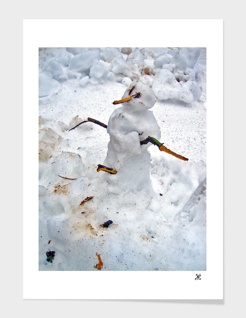 Real Snowman.