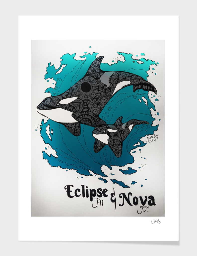 Eclipse and Nova