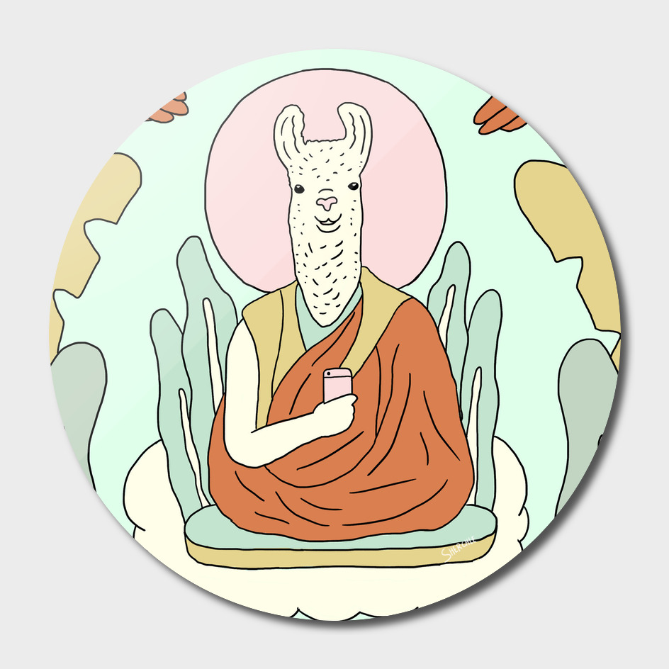 The Dalai Llama