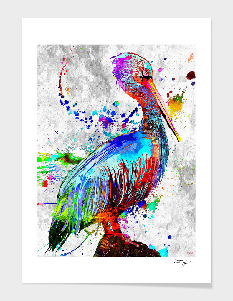 Pelican Water Bird Grunge