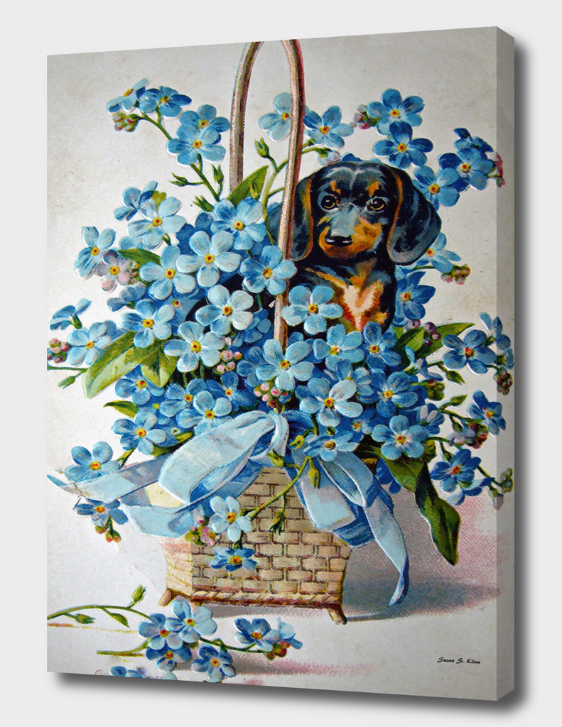Dachshund and Forget-me-Nots