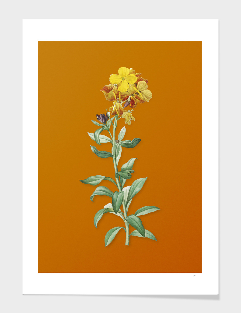 Yellow Wallflower Bloom Botanical on Sunset Orange