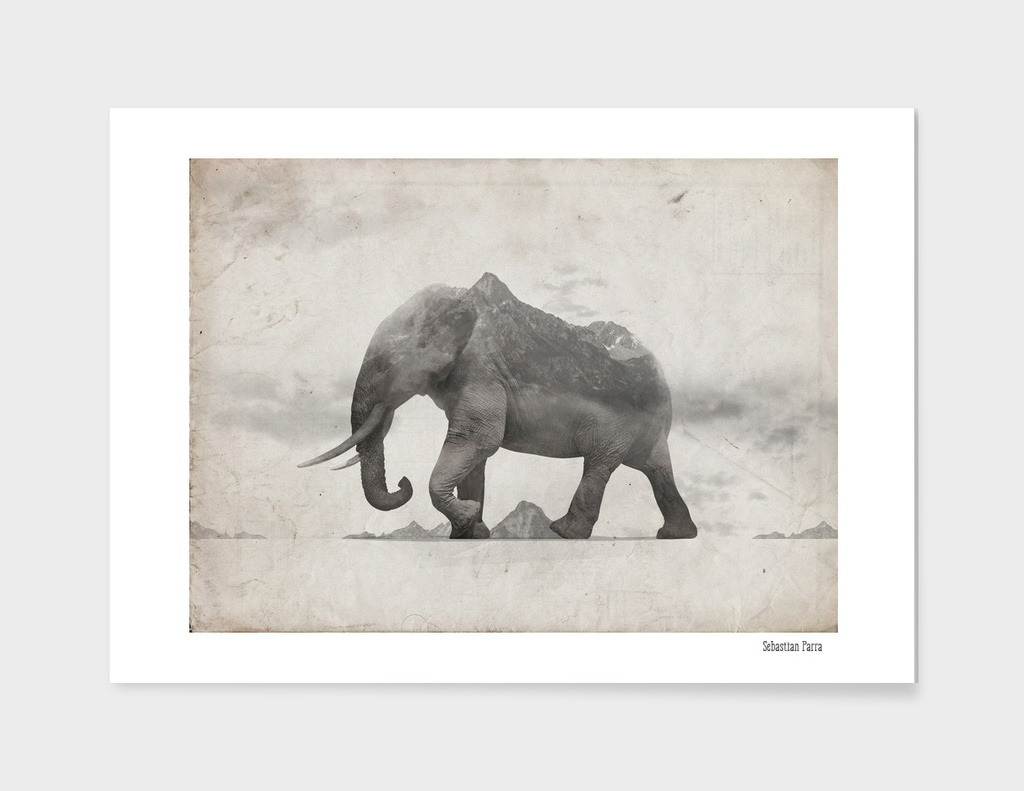 Rocky Elephant