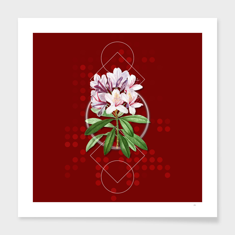 Vintage Common Rhododendron Botanical on Geometric