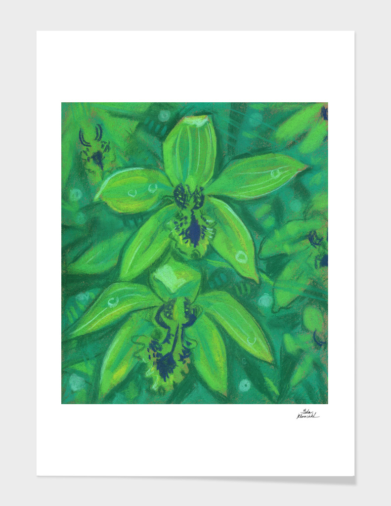Green Orchid Flower Pastel Painting Floral Art