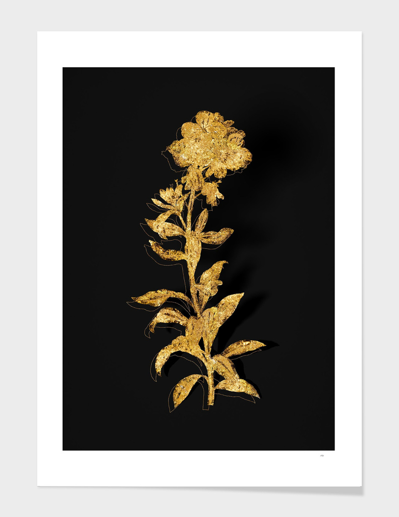 Gold Yellow Wallflower Bloom Botanical on Black