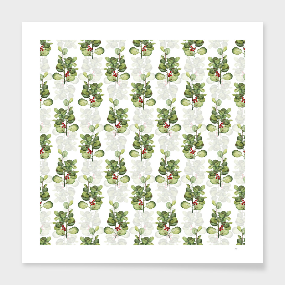 Lingonberry Evergreen Shrub Pattern on White