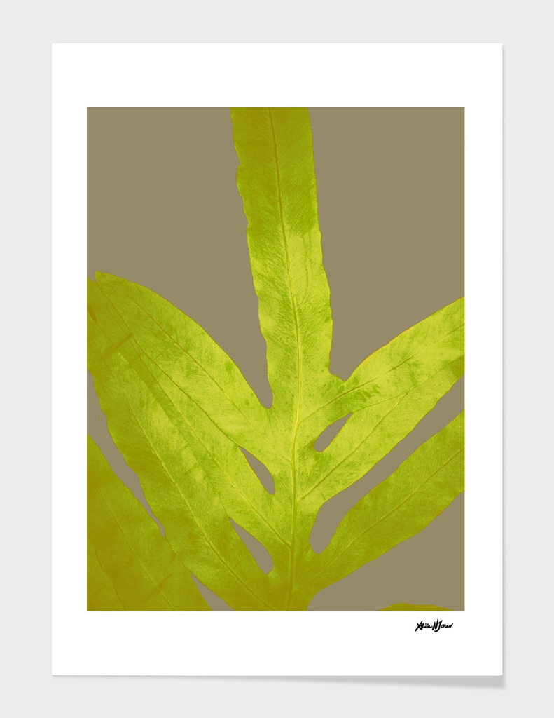 Bright Yellow Fern Greenery Leaf