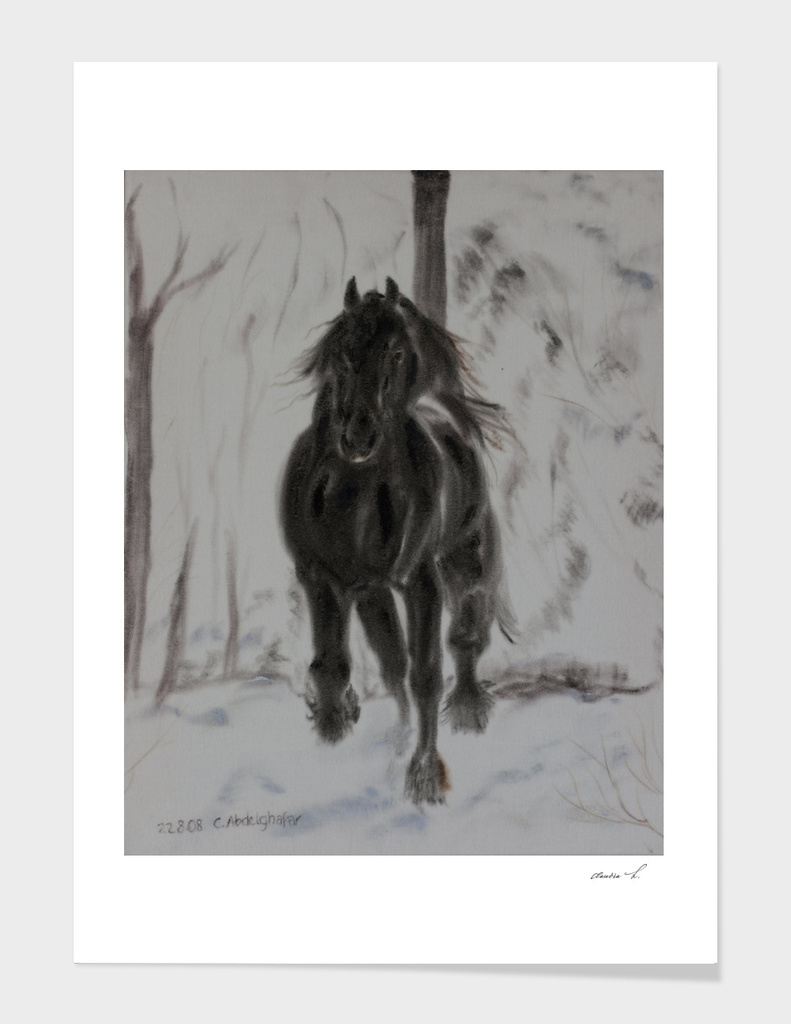 Friesan horse in winter