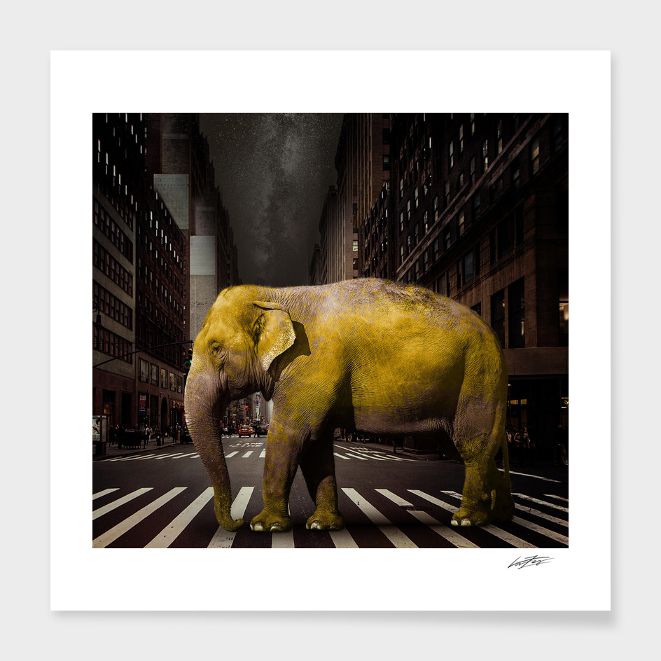 ELEPHANT in New York City