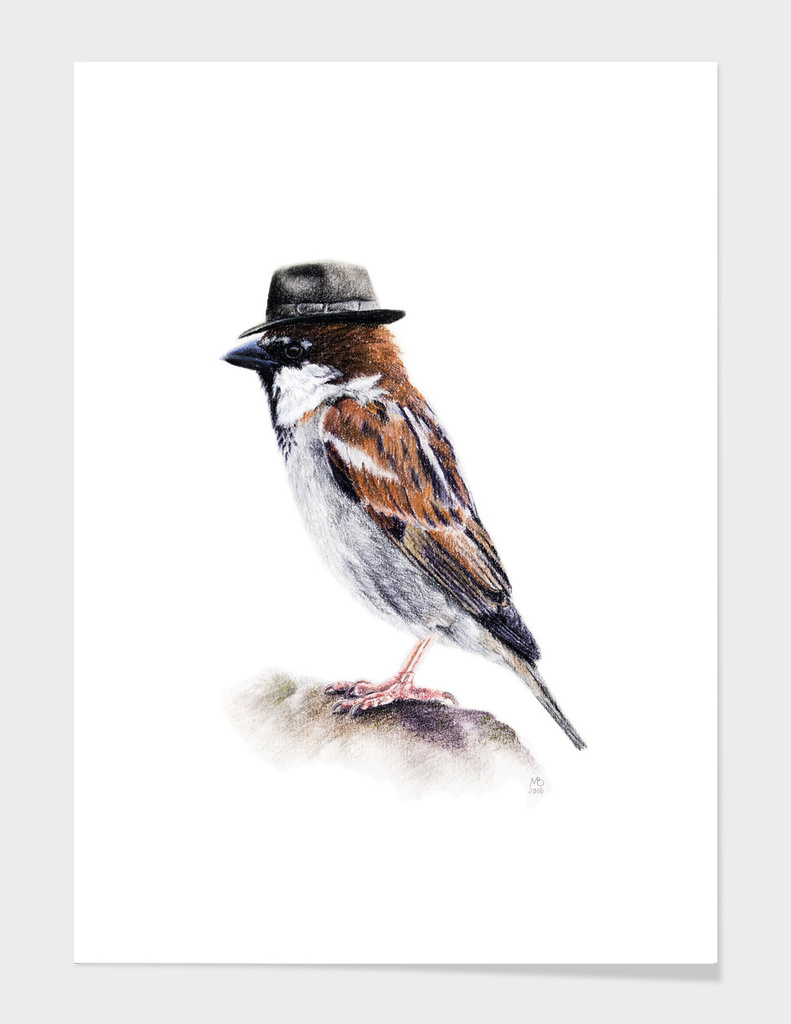 Mr. I. Sparrow