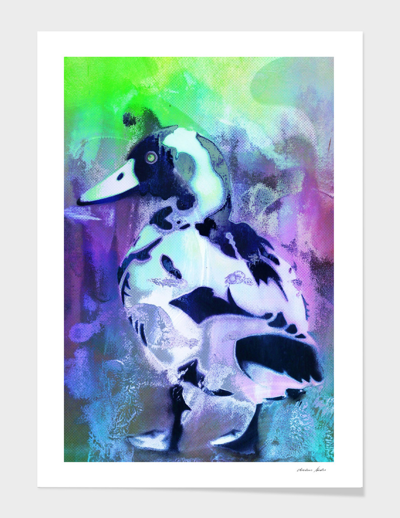 Duck abstract