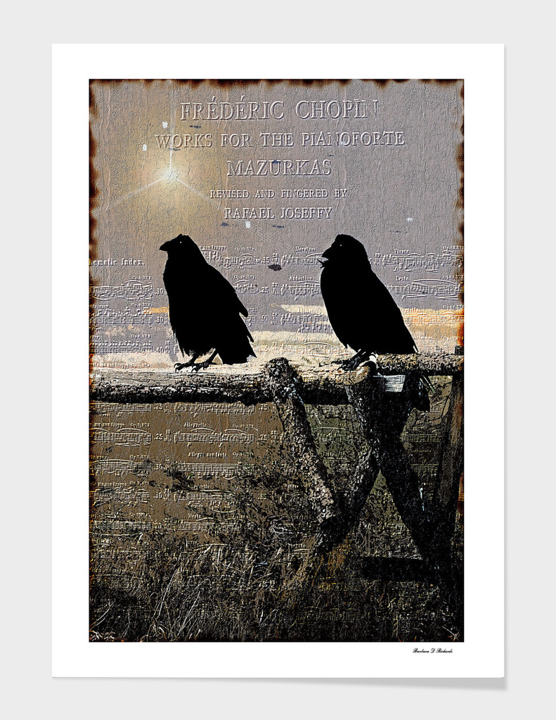 Singing Crows