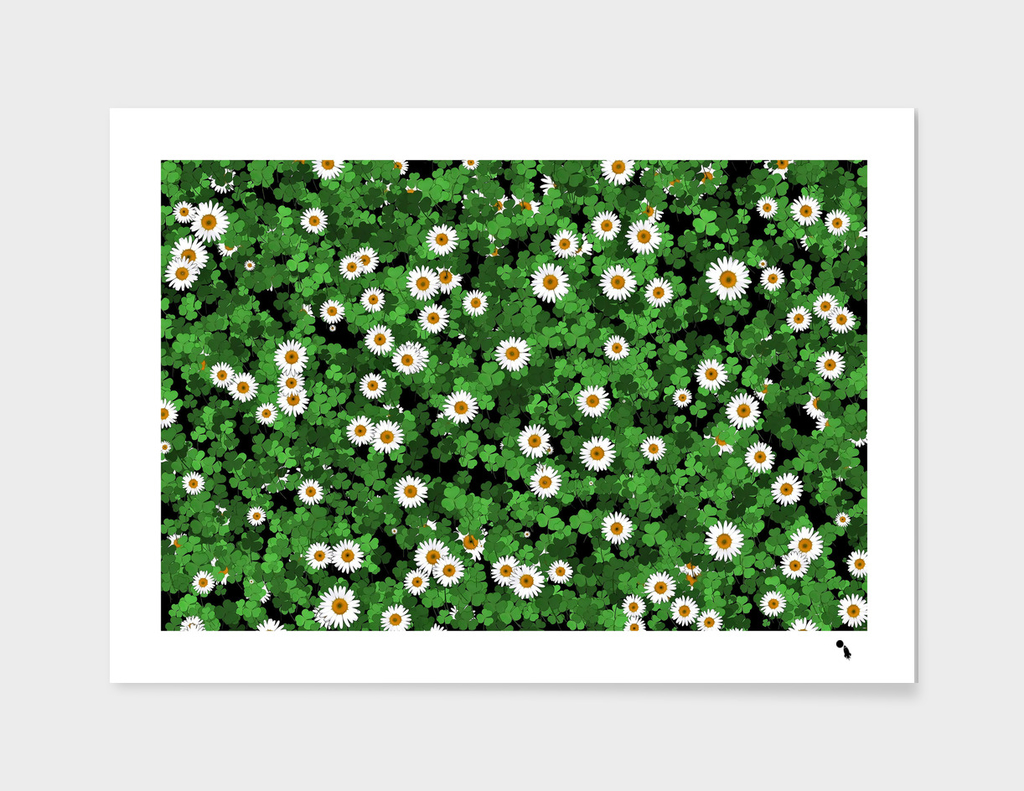 Daisies Clovers Lawn Digital Drawing Background