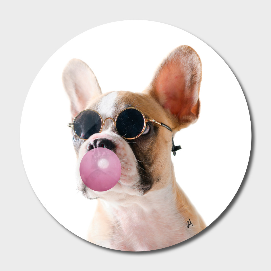 Dog With Bubble Gum