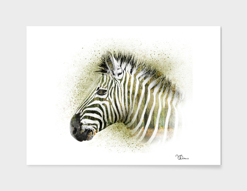 Zebra double exposure