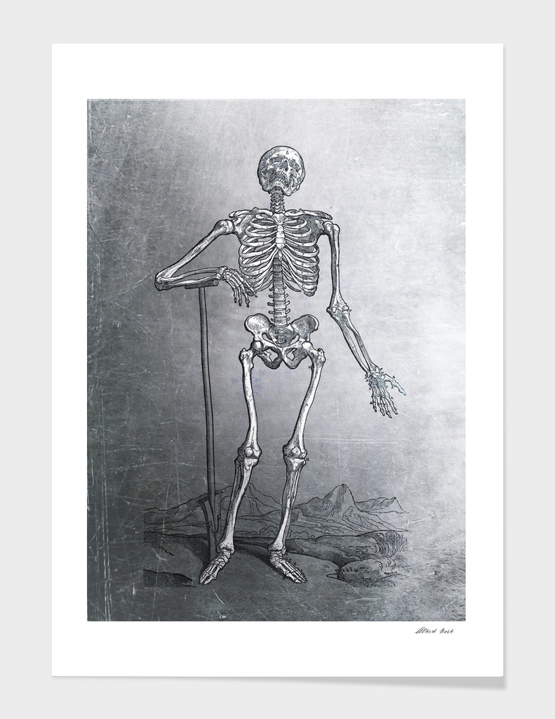 Renaissance Anatomic Pannel p203
