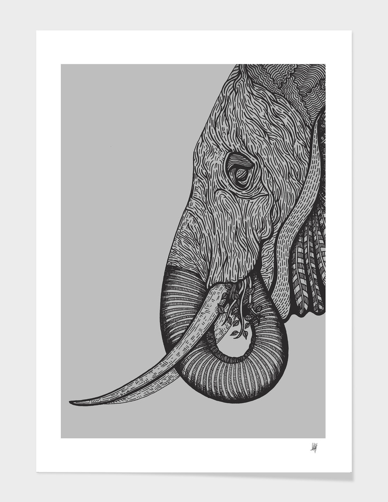 Elephant-Grey