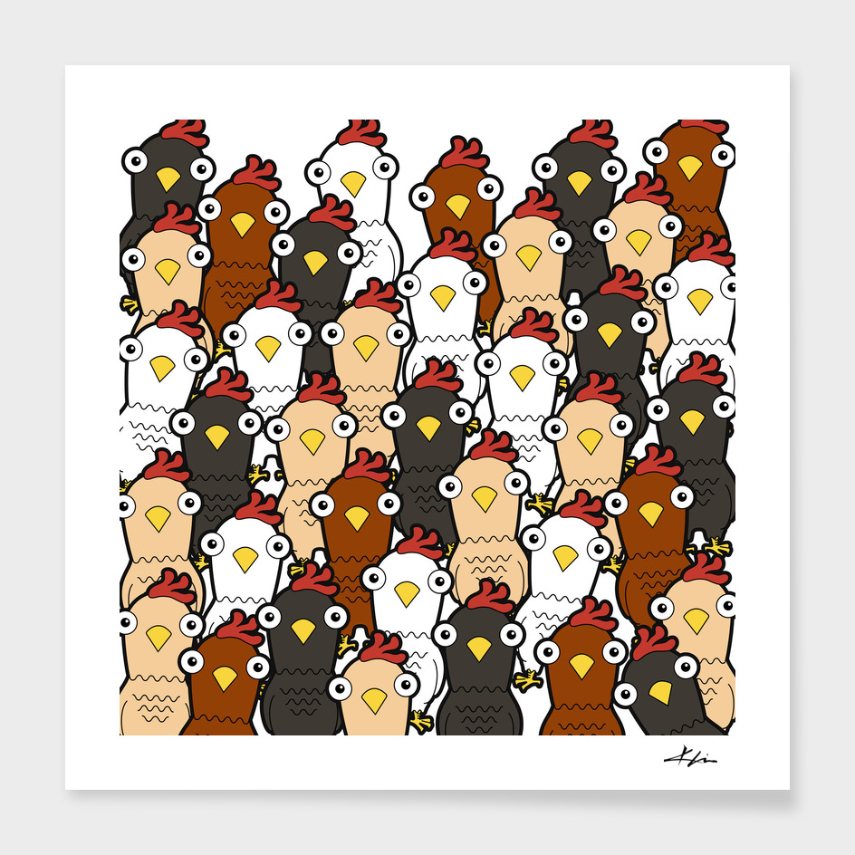 Curious Chickens