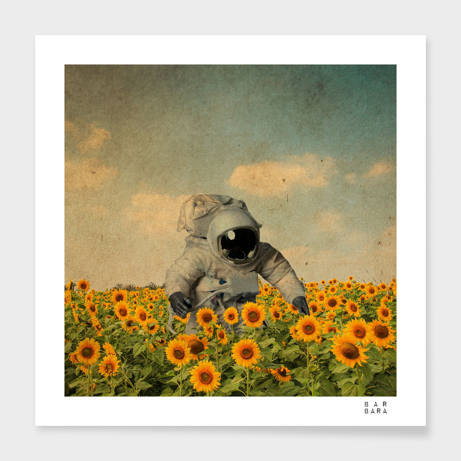 Astronaut in the field of Sunflowers