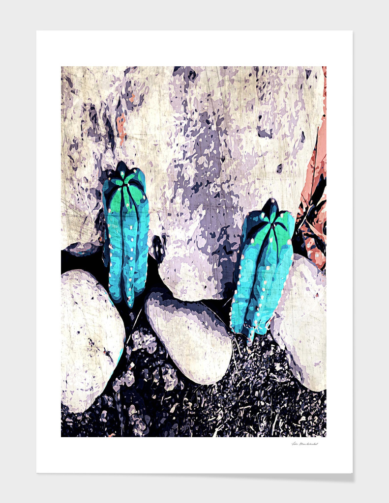 green cactus on the ground with stone background