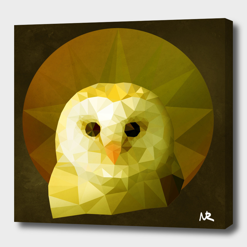 Polygon Owl
