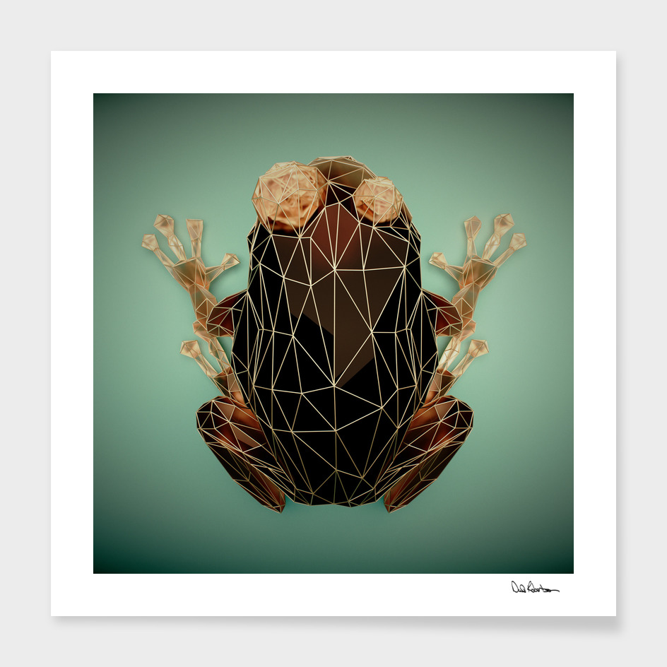 023 Low Poly Frog