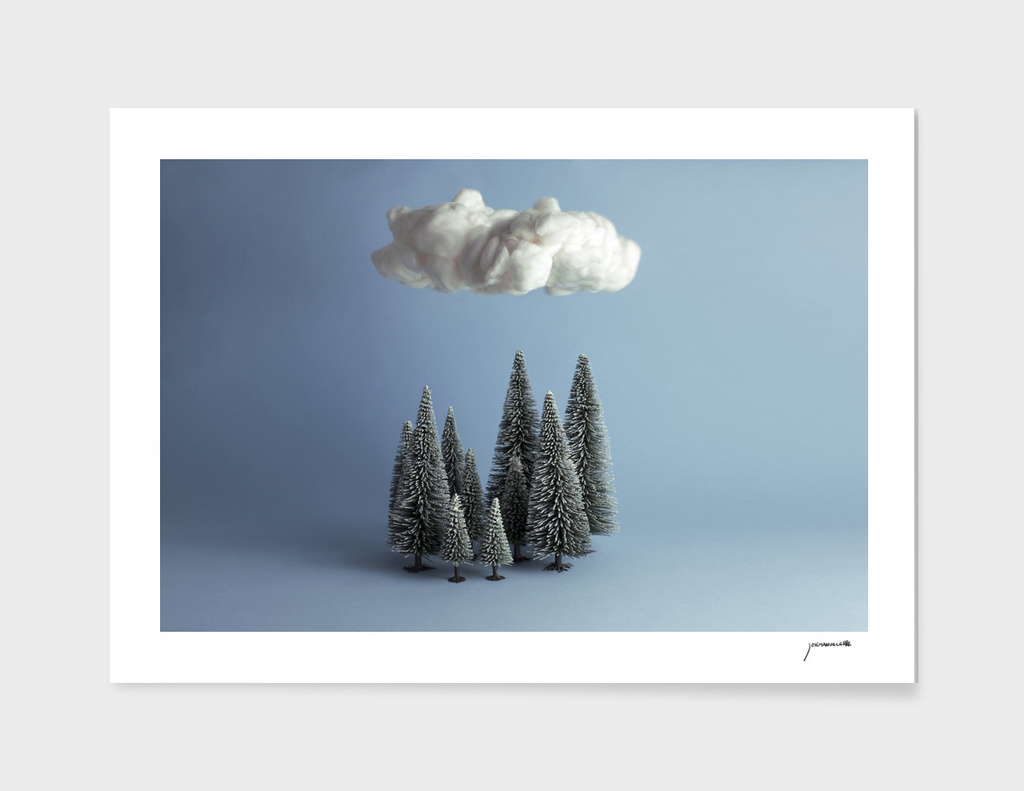 A cloud over the forest.