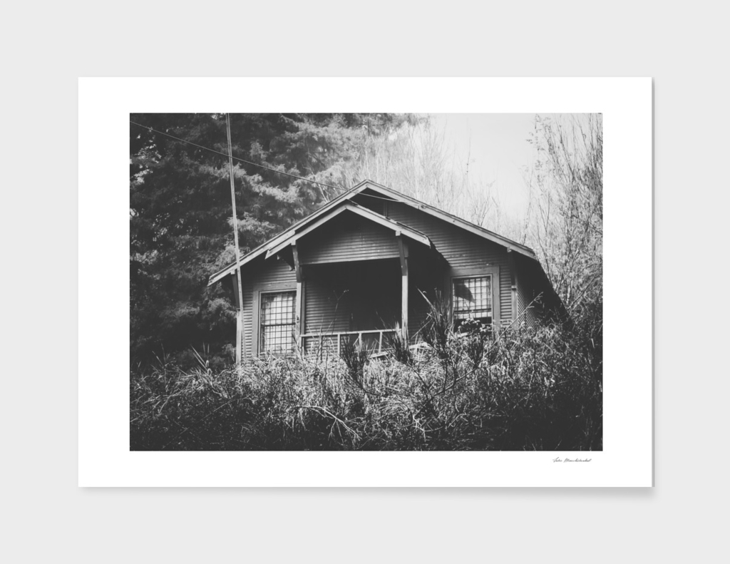 wooden house in the forest with rain in black and white
