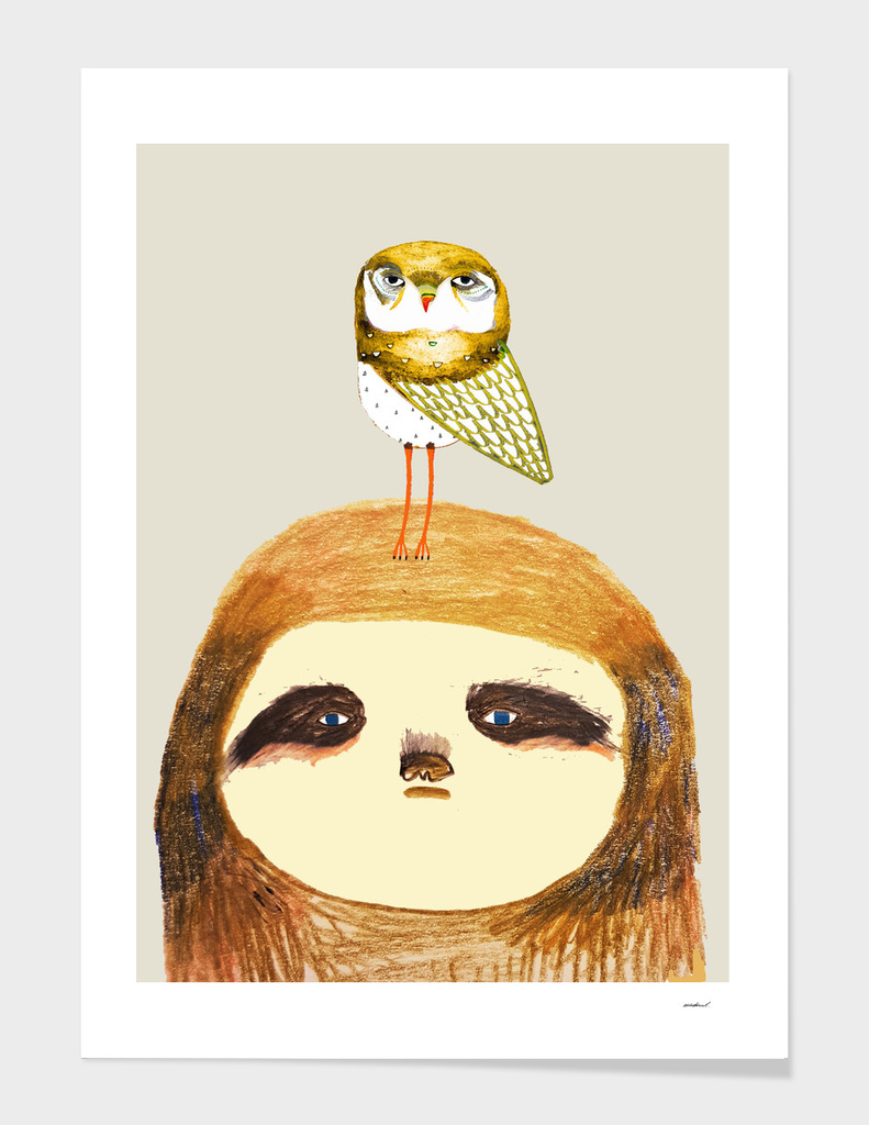sloth and owl