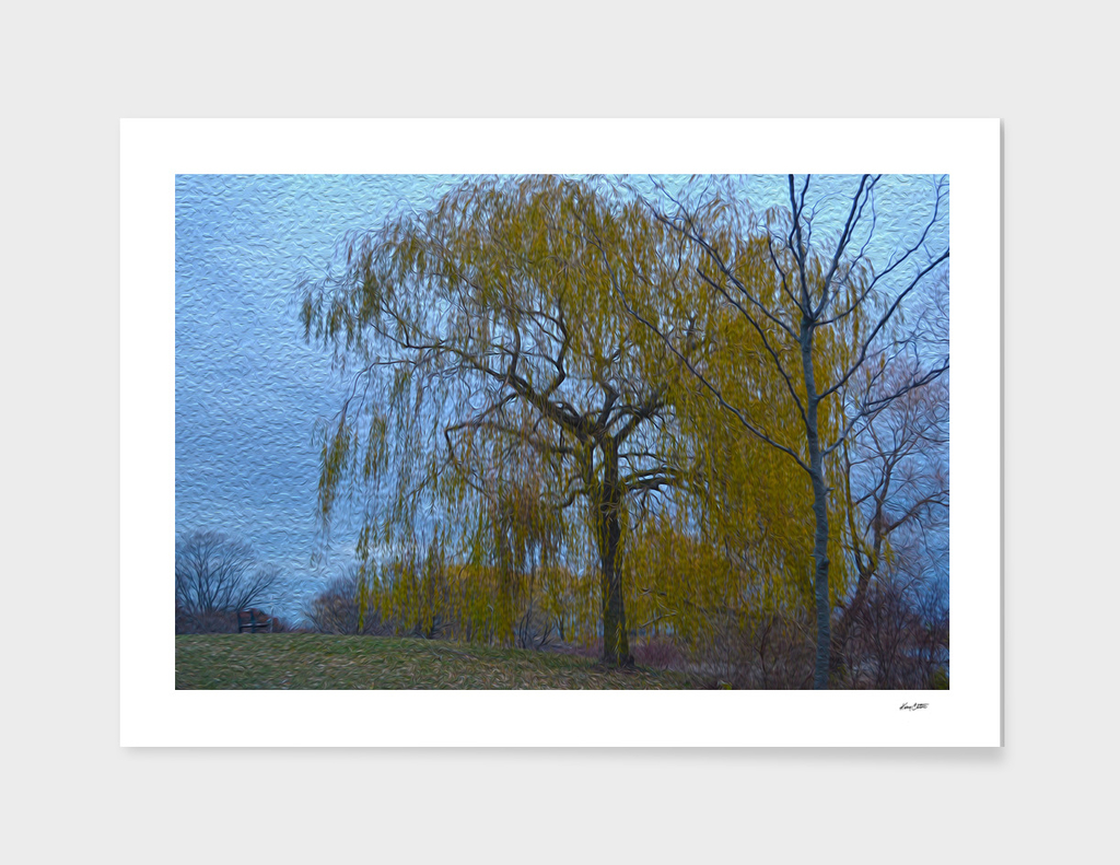 A weeping willow in fall
