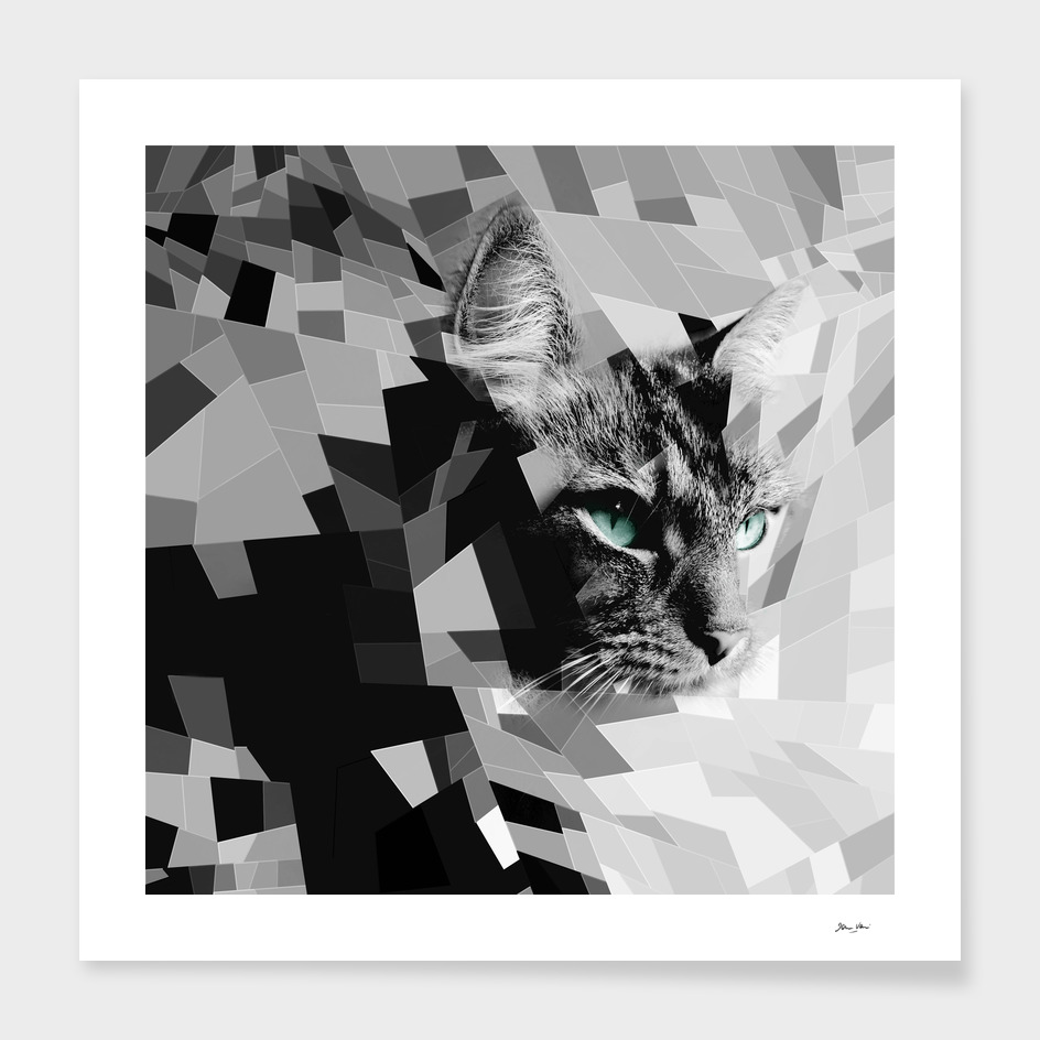 Black & white geometric cat