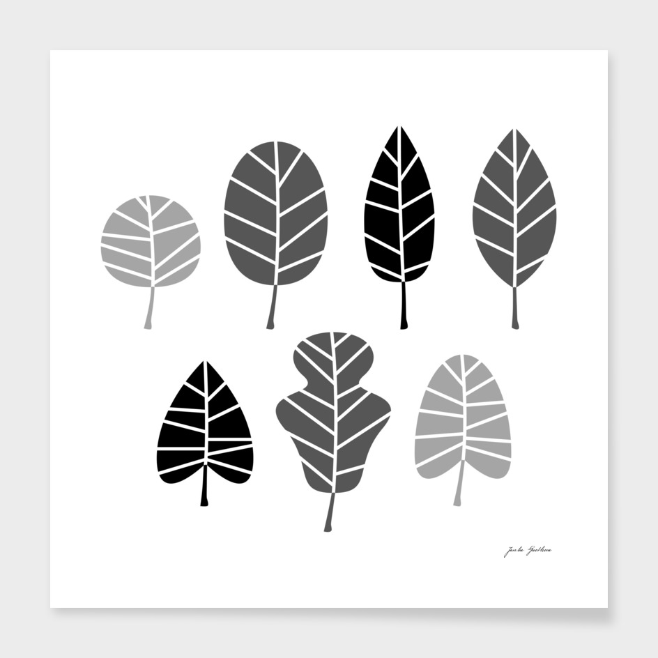 Black grey leaves on white : New design