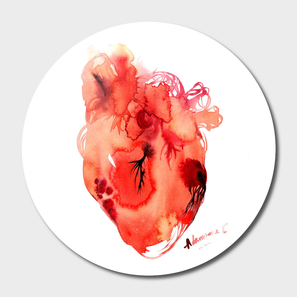 Red Anatomical Heart