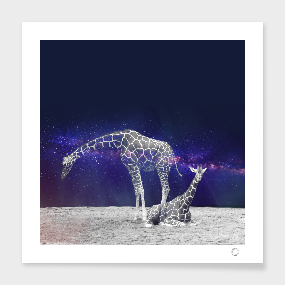 Giraffes on The Moon
