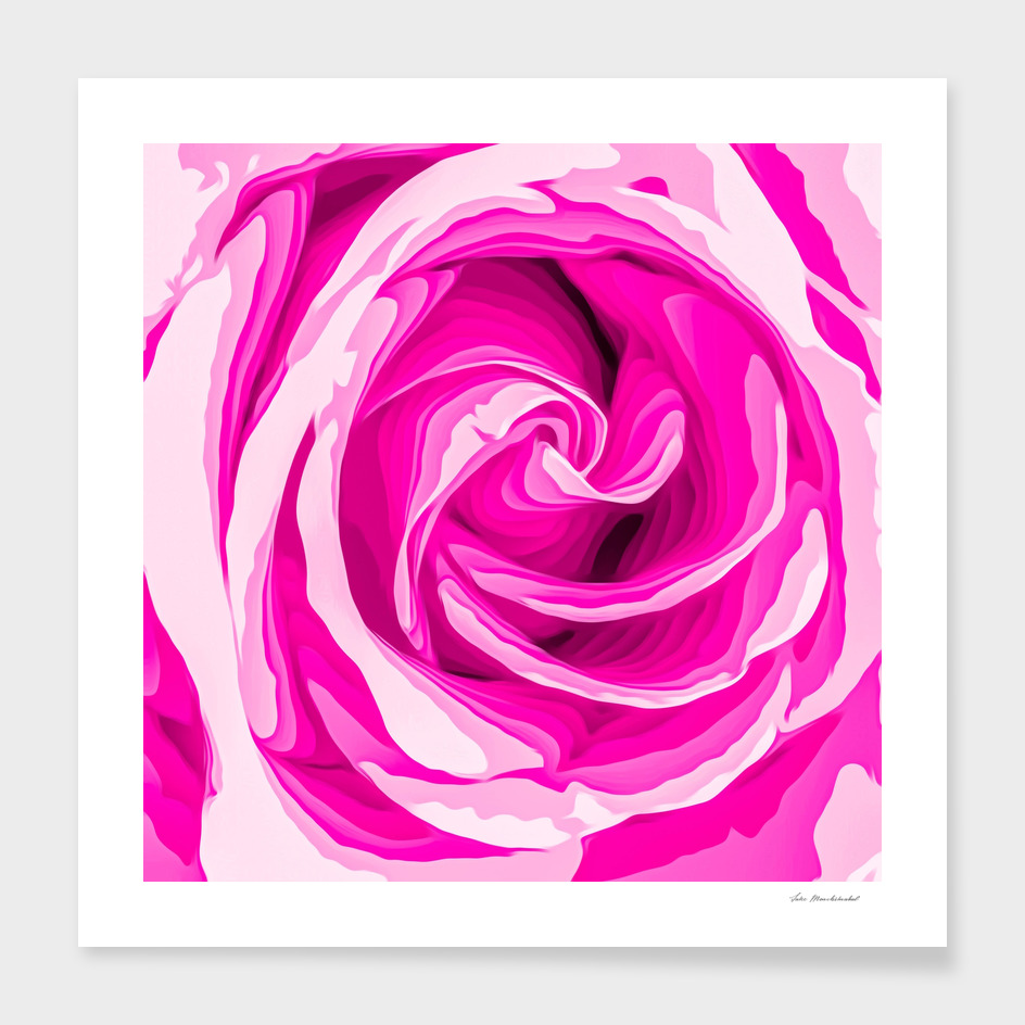 closeup fresh pink rose texture abstract background