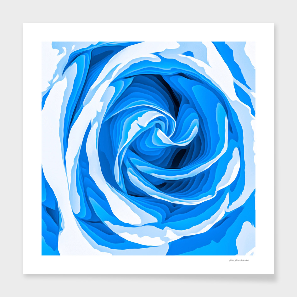 closeup blue rose texture abstract background