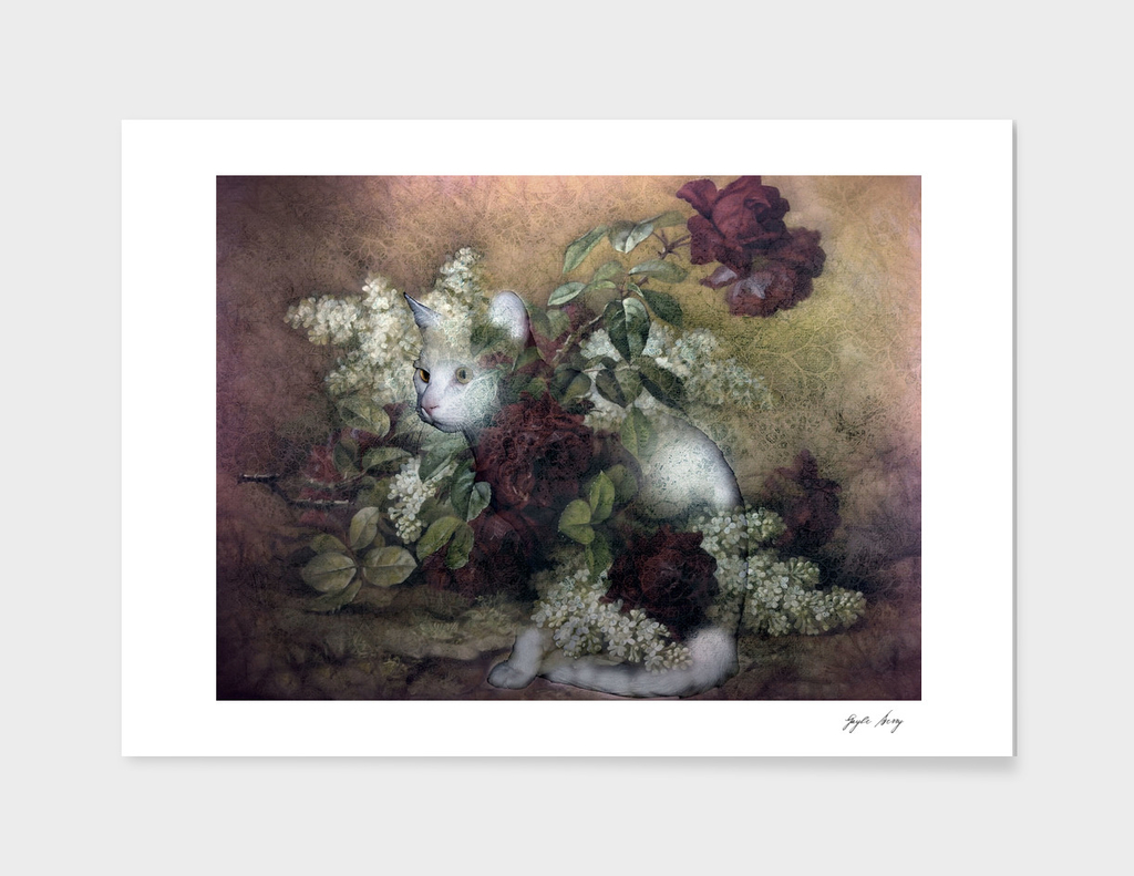 KITTY FLORAL 002