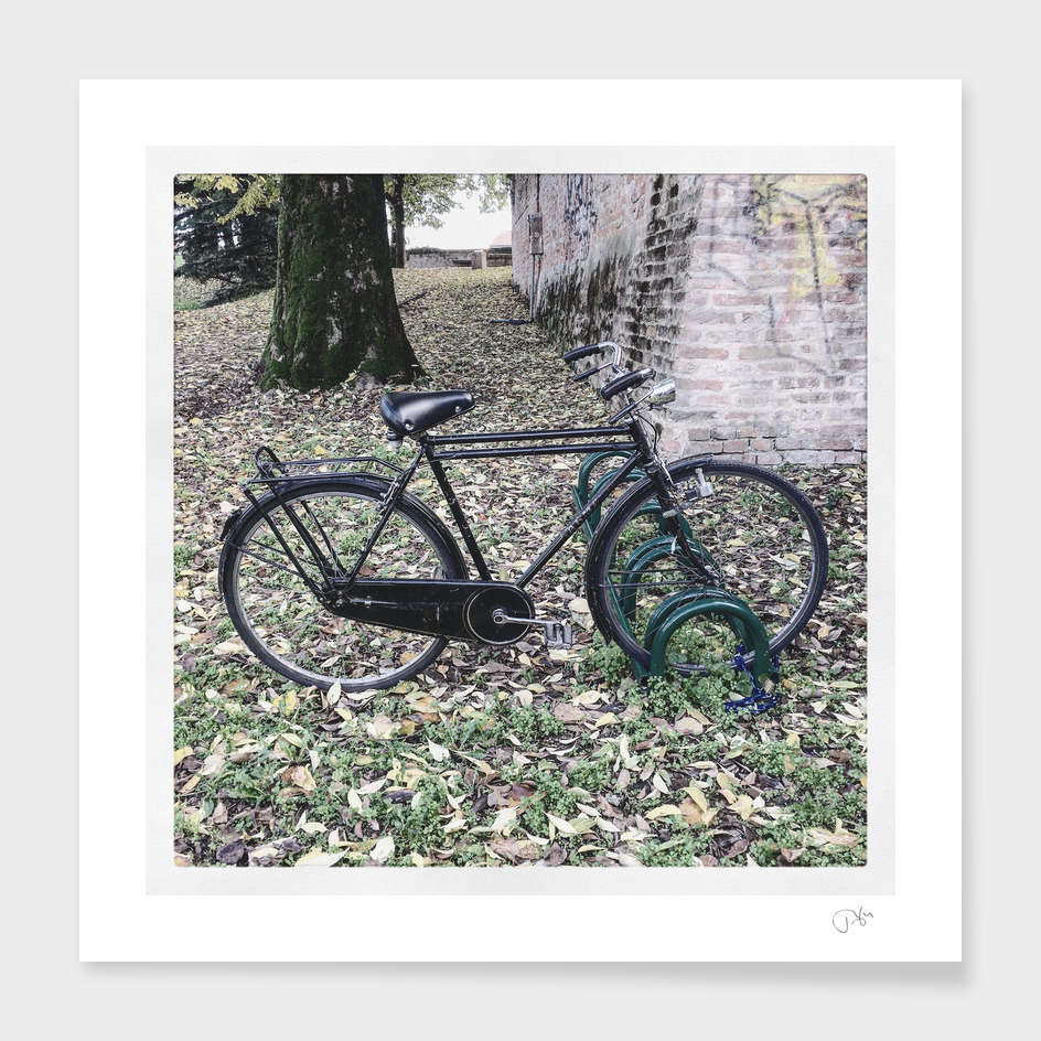 bicicletta 10