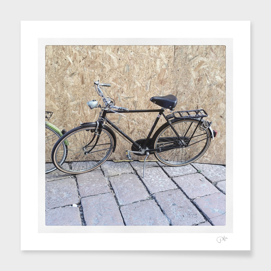 bicicletta 36