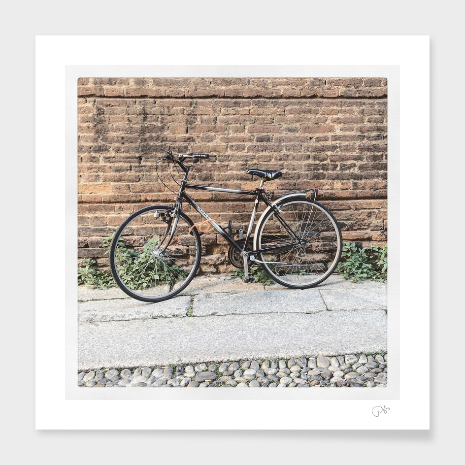 bicicletta 51