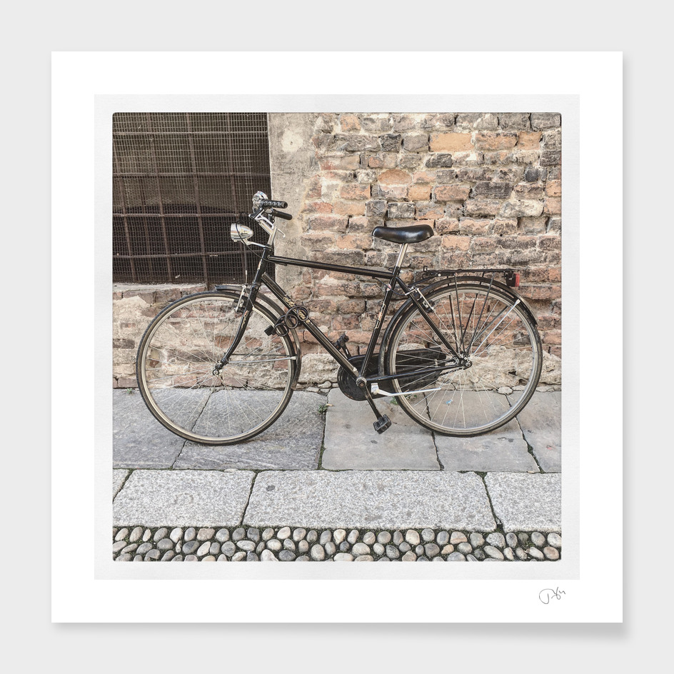 bicicletta 55