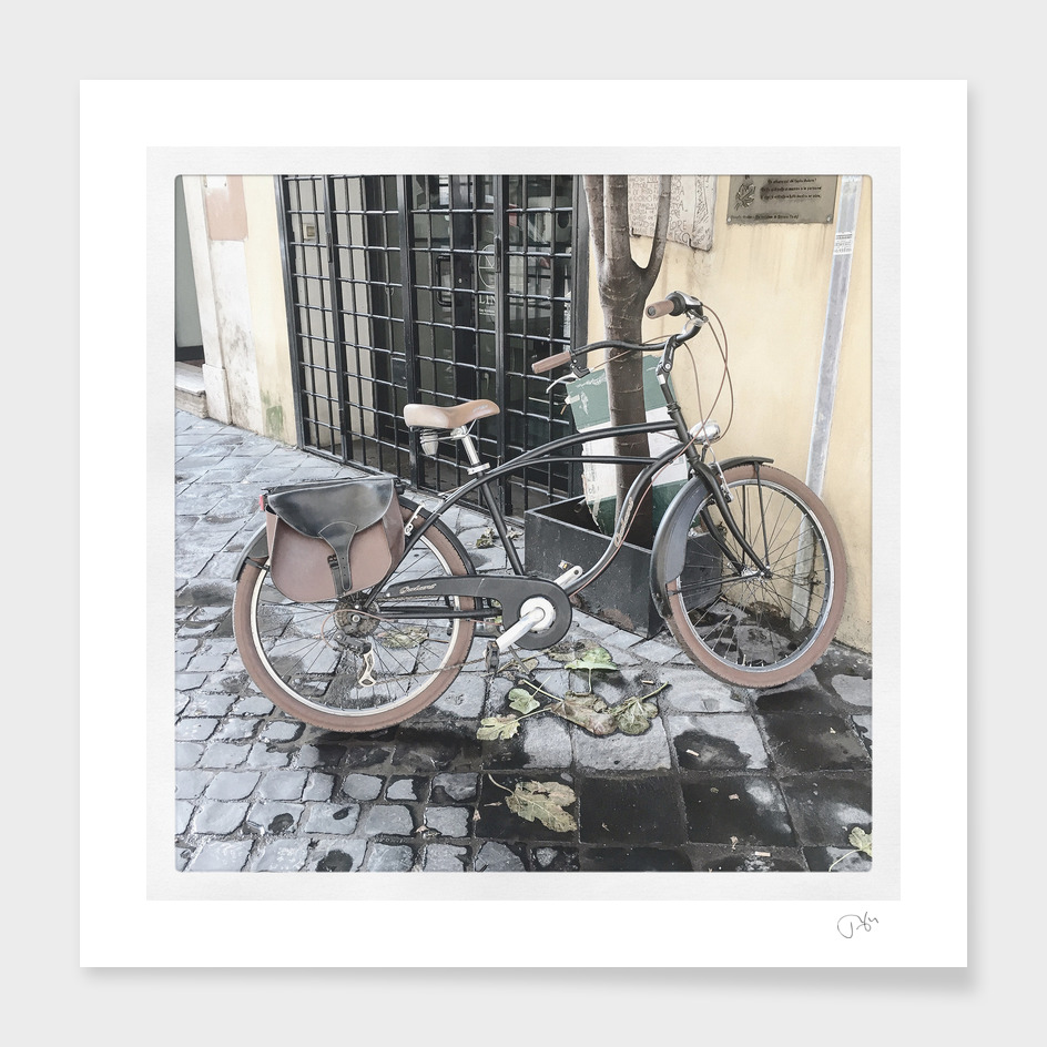 bicicletta 79
