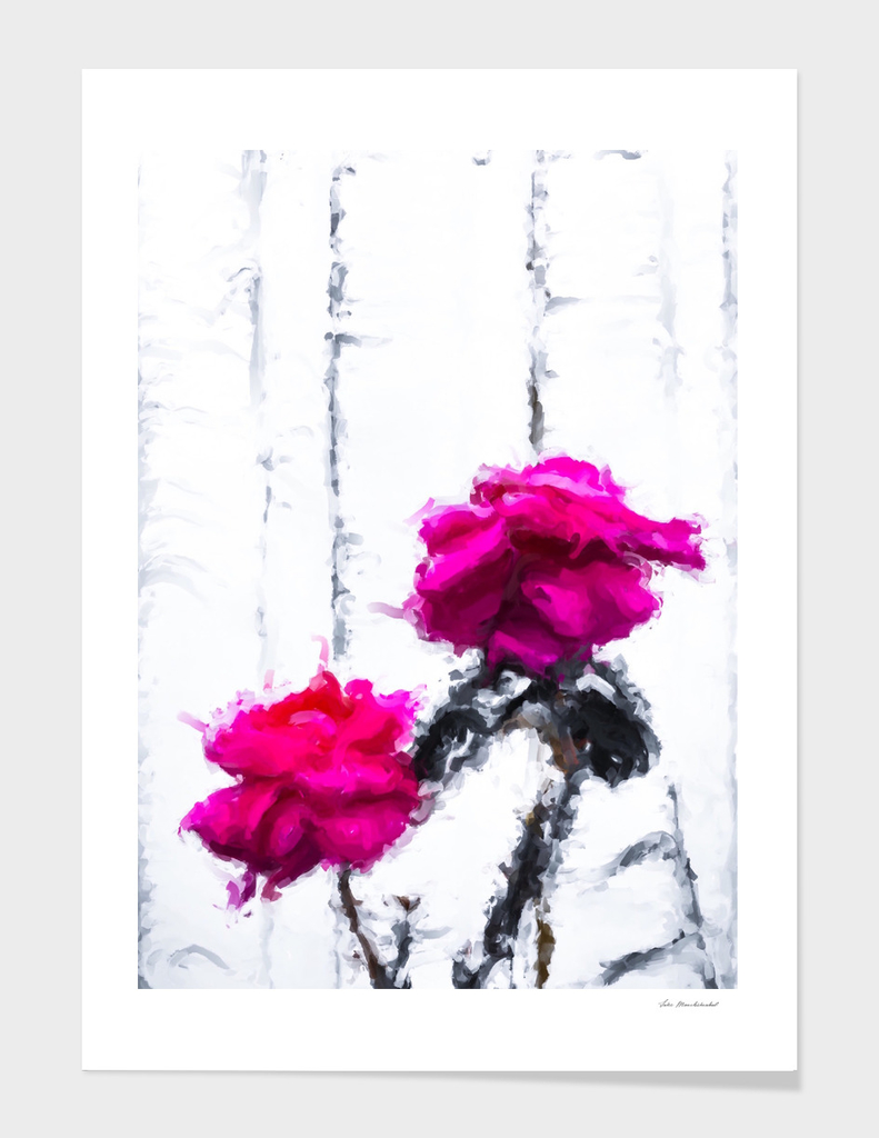 red roses with white wood background