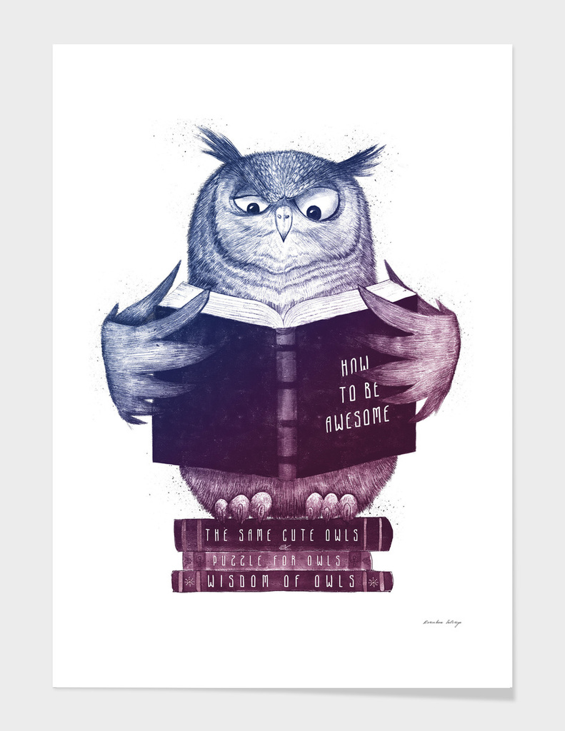 Wise owl in color