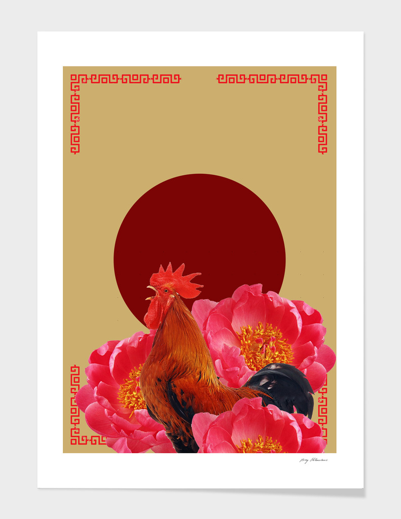 ROOSTER BLOSSOM