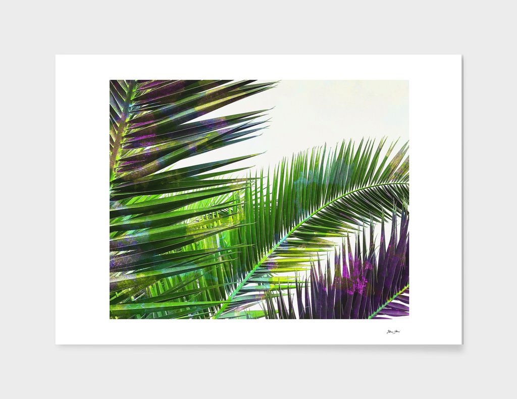 Vintage Palm Leaves - Green