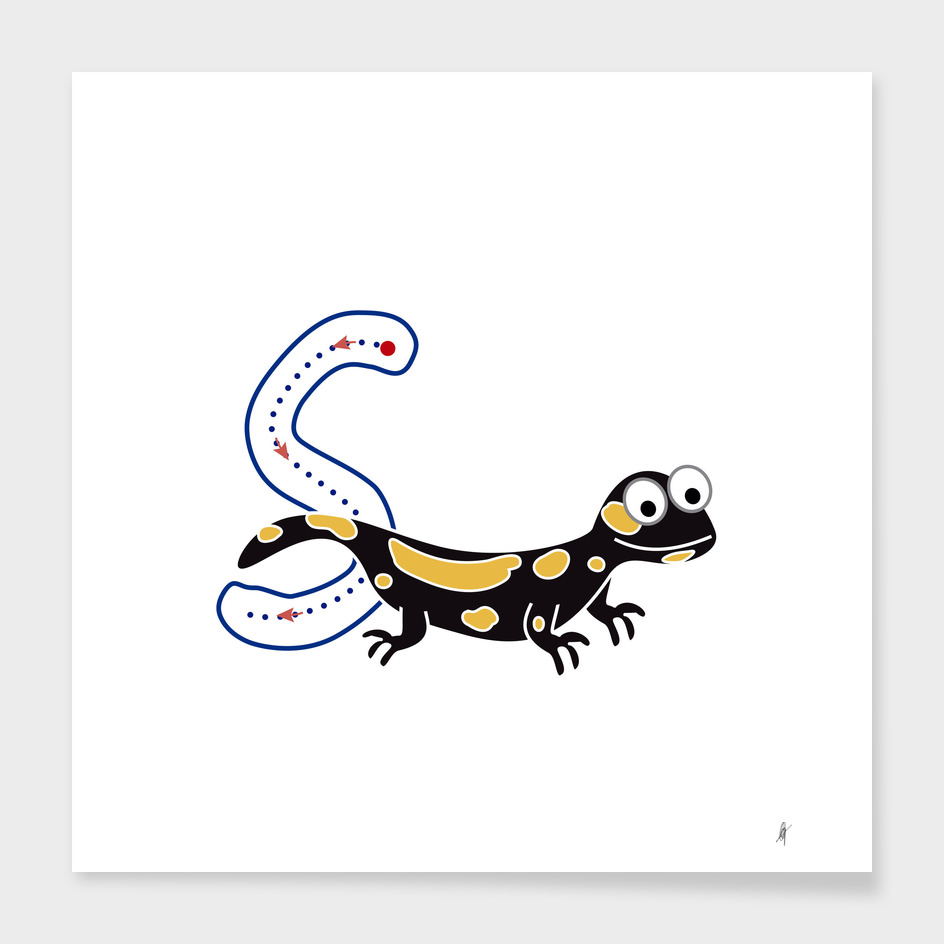 Animal alphabet, letter S: Salamandra