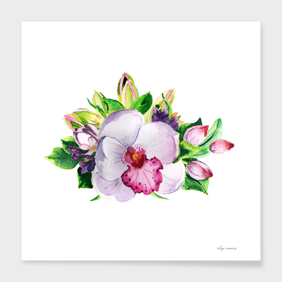 watercolor orchid flower